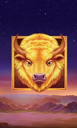 Buffalo's Sun 2
