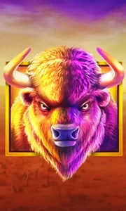Buffalo King